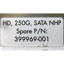 HP 250G 7.2k 432337-001/ 399699-001 / 397377-004 SATA HDD (Липецк)