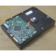 Жесткий диск HP 250Gb 7200 rpm 432337-001/ 399699-001 / 397377-004 (Липецк)