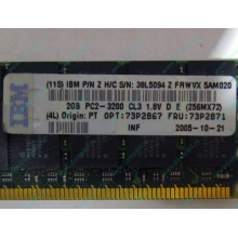 IBM 73P2871 73P2867 2Gb (2048Mb) DDR2 ECC Reg memory (Липецк)
