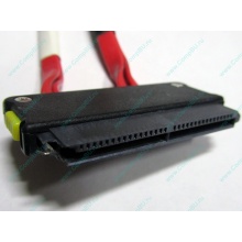 SATA-кабель для корзины HDD HP 451782-001 459190-001 для HP ML310 G5 (Липецк)