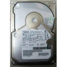 Жесткий диск 18.2Gb IBM Ultrastar DDYS-T18350 Ultra3 SCSI (Липецк)