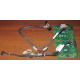 Корзина 59P5159 24P2578 IBM X225 / X226 / X235 / X255 / X266 xSeries servers FRU59P5159 FRU24P2578 (Липецк)