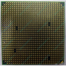 Процессор AMD Athlon 64300+ (1.8GHz) ADA3000IAA4CN s.AM2 (Липецк)