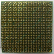 Процессор AMD Sempron 3000+ (1.6GHz) SDA3000IAA3CN s.AM2 (Липецк)